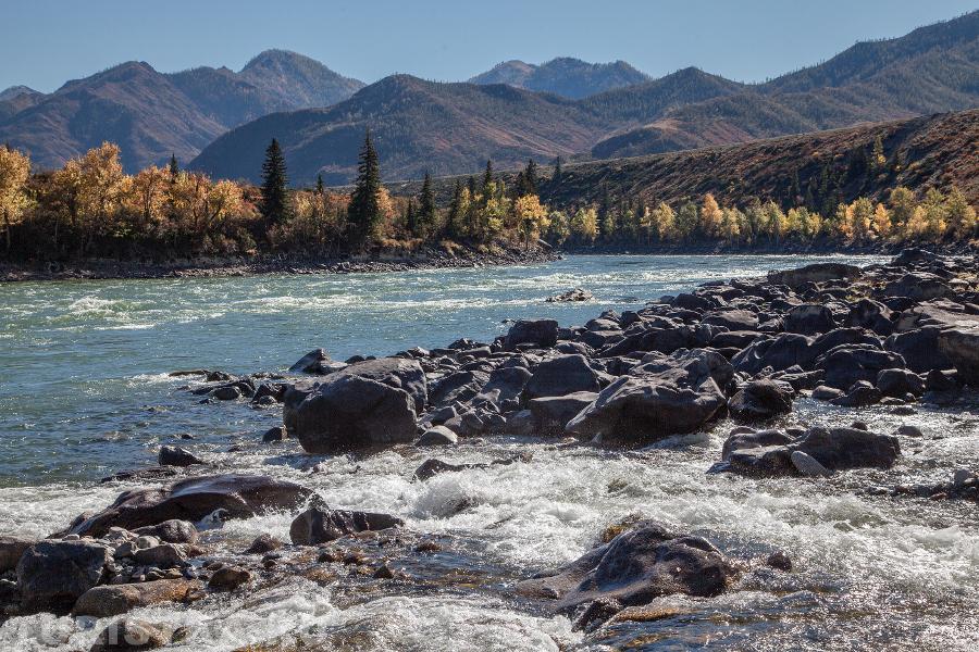Устье реки Большой Ильгумень на Катуни.