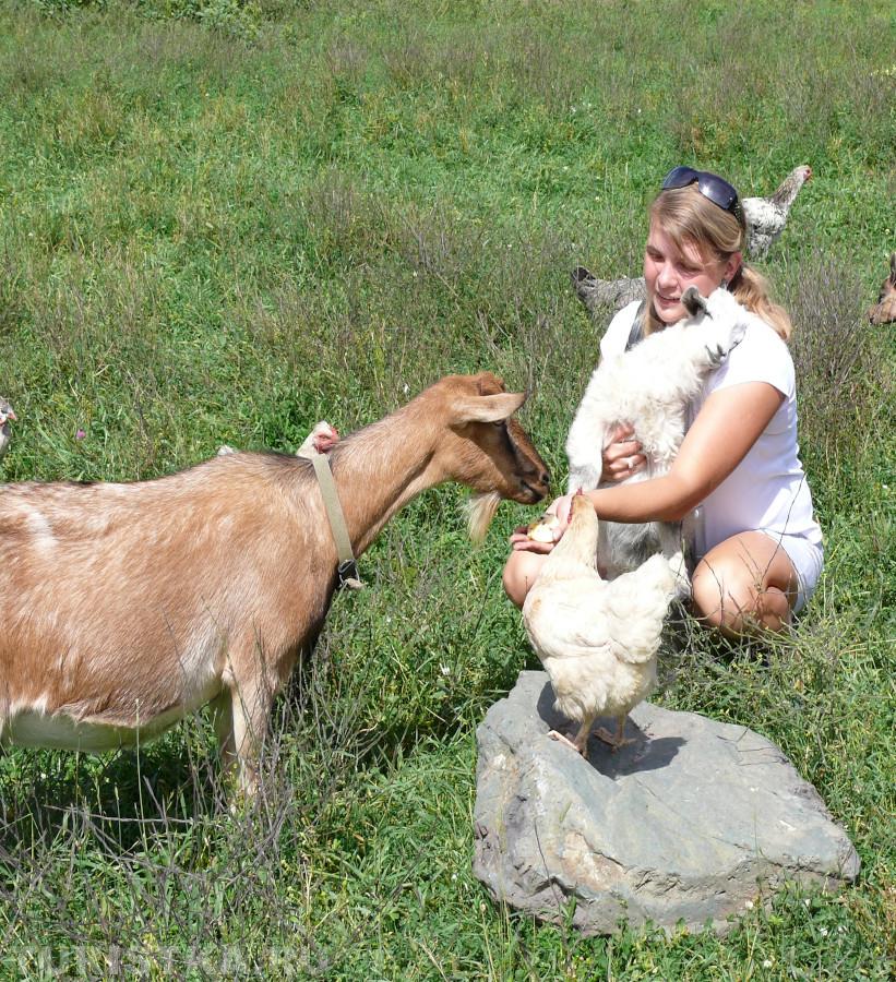 "Зверотерапия." с. Черга контактный зоопарк.