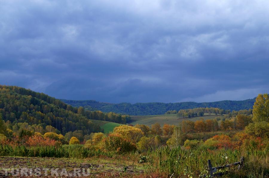 В окрестностях села Боровлянка Чарышского района.