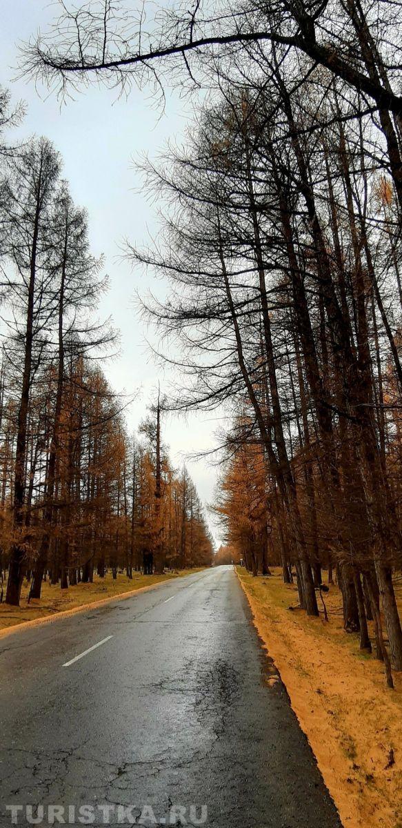 Алтай.  Дорога в Усть -Кан с. Талда