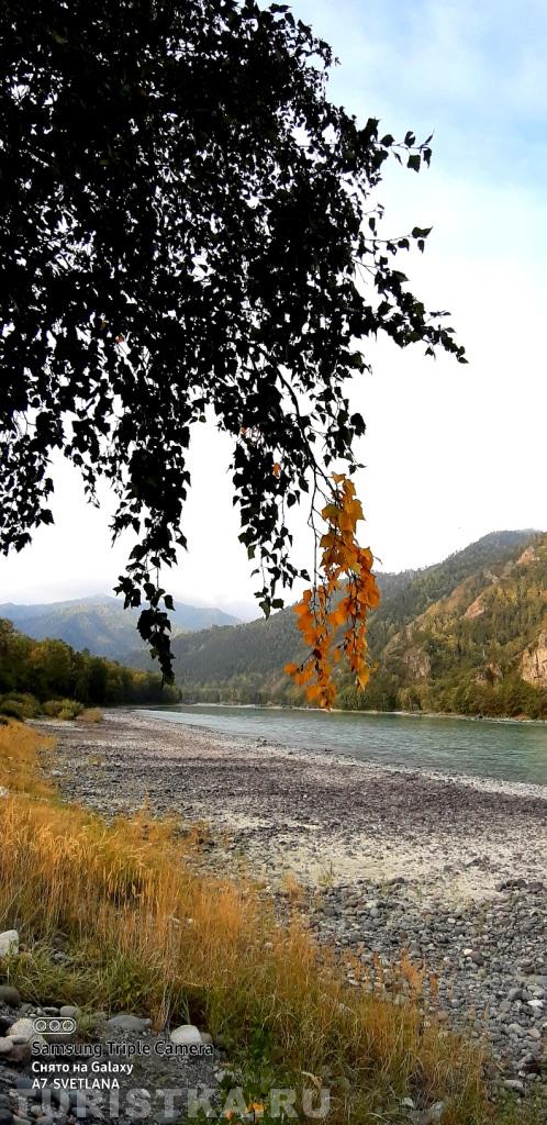 Автор: Воронова Светлана.  Чемальский район