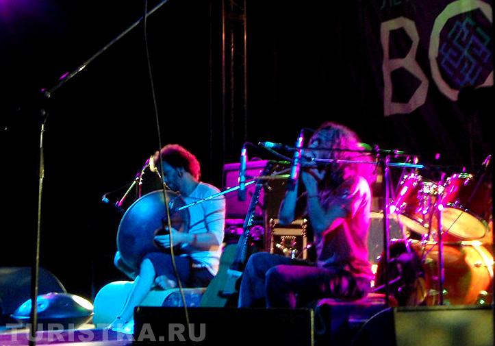 Давид Сваруп и Ортал Пеллег 