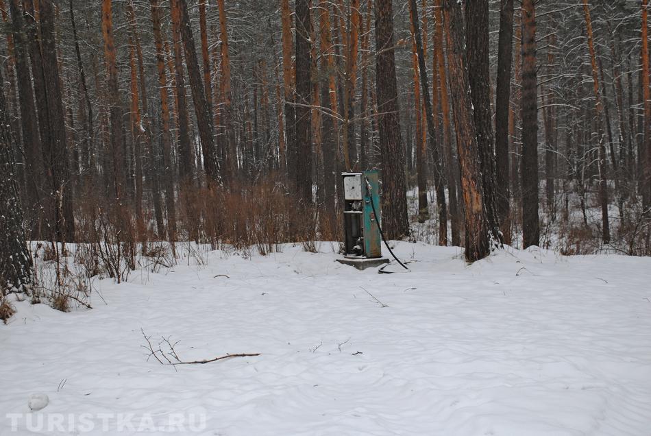 "Пошла погулять, да заблудилась." Фото Хоршев Н.