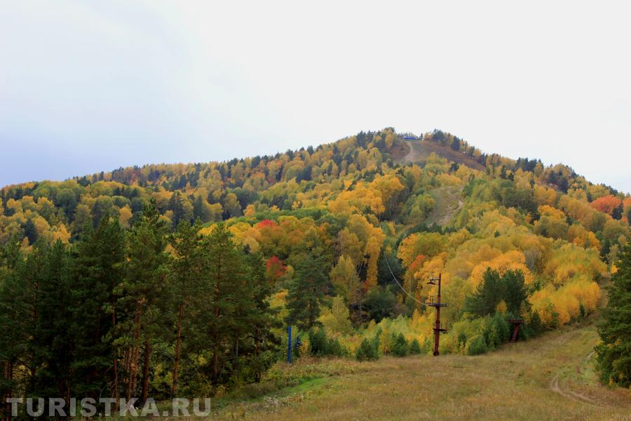 " Палитра красок осени". субкластер "Белокуриха-2 