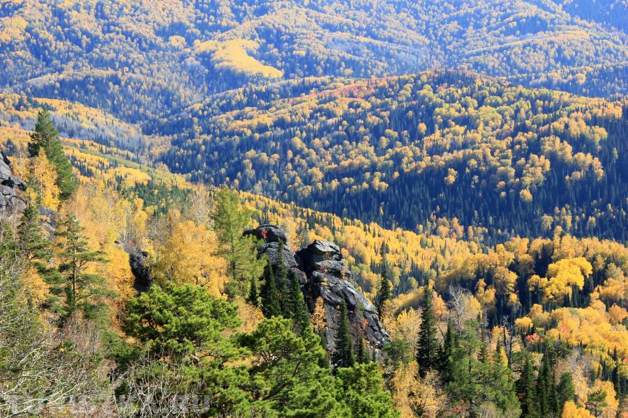  "Пояс Сартакпая" субкластер Белокуриха-2. сделано