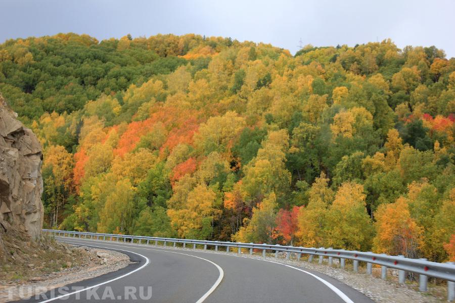  Субкластер Белокуриха-2