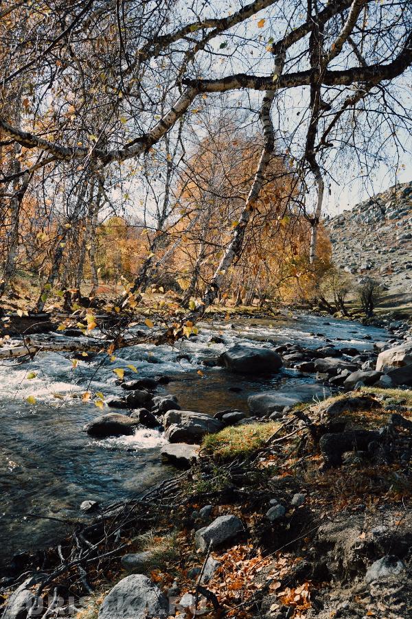 Вдоль Чуйского тракта после Онгудая