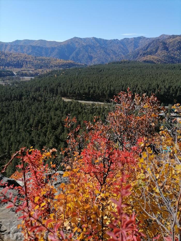 Яковенко Ирина. Село Чемал