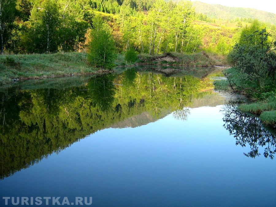 Дубровка ульяновская область. Дубки платная рыбалка. Полбинский пруд ульяновская область. Полбинский пруд ульяновская область. Ночью озеро ульяновск.