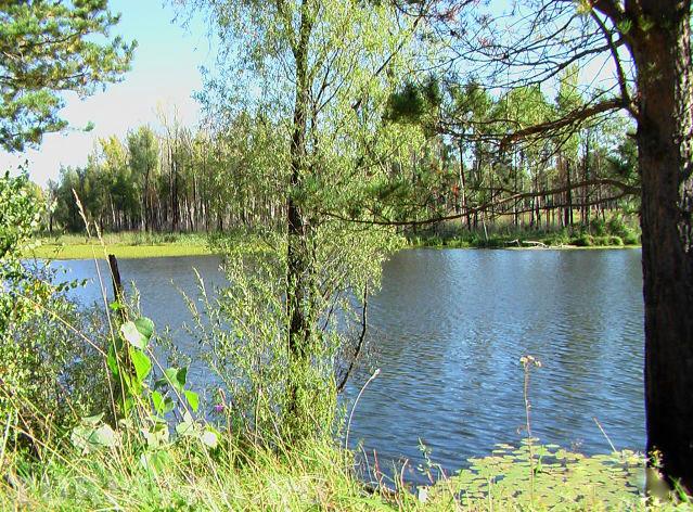 Залесовский район