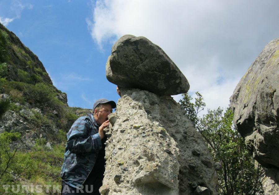 « Как-то раз в горах Алтая    Пошли с женой мы по грибы,     Только вот ведь незадача-     Несъедобные они!»