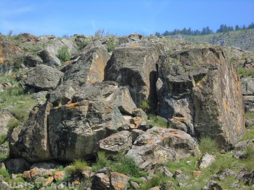 - Улыбаемся! Улыбаемся! Нас снимают. Мы - звёзды Чуйского тракта!