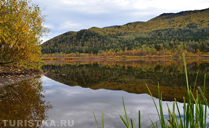 Золотая осень на Алтае