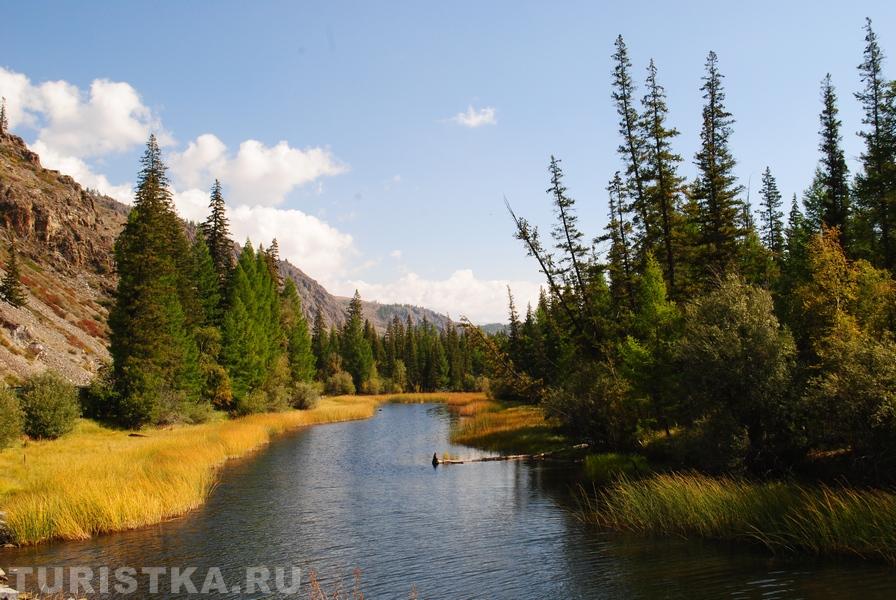 Улаганский р-он, старица р.Чуя