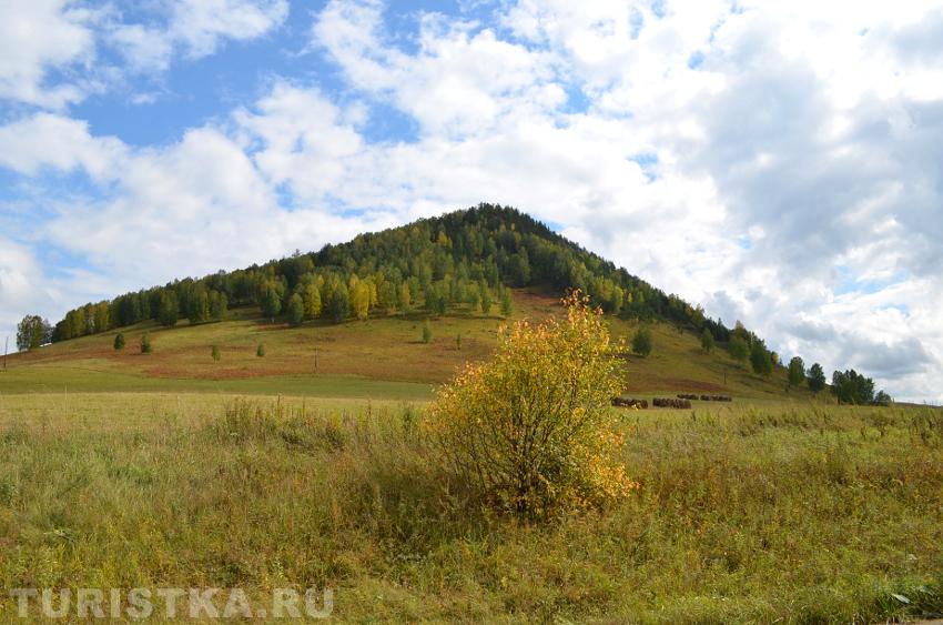 Солонешенский район