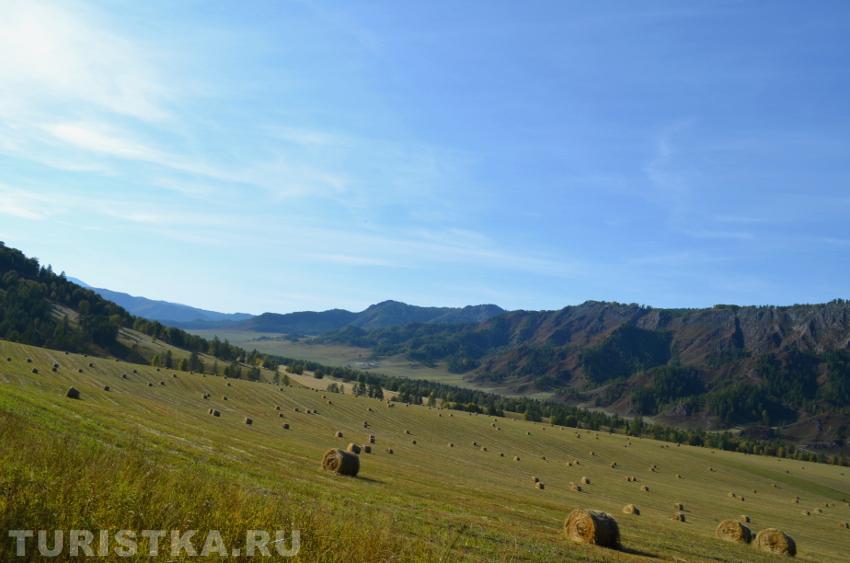 Усть-Канский район
