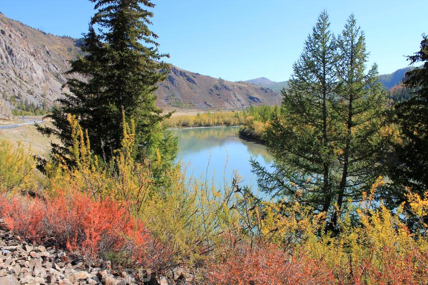 Река Чуя, Кош-Агачский район