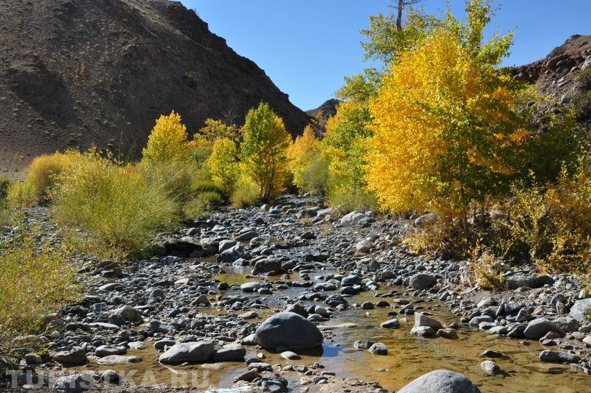 Ручей Кызыл-Чин, Кош-Агачский район