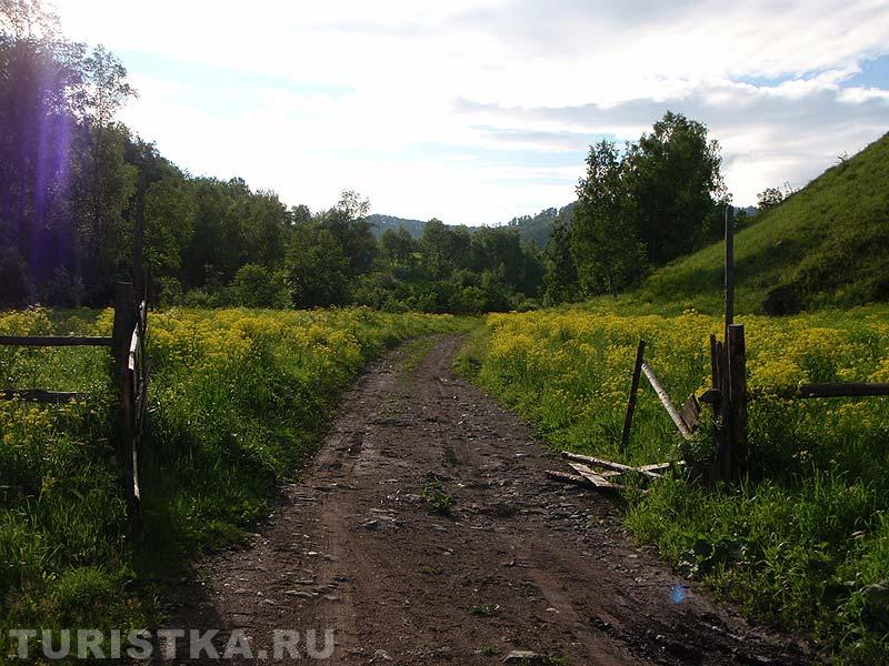 Дорога к зубрам