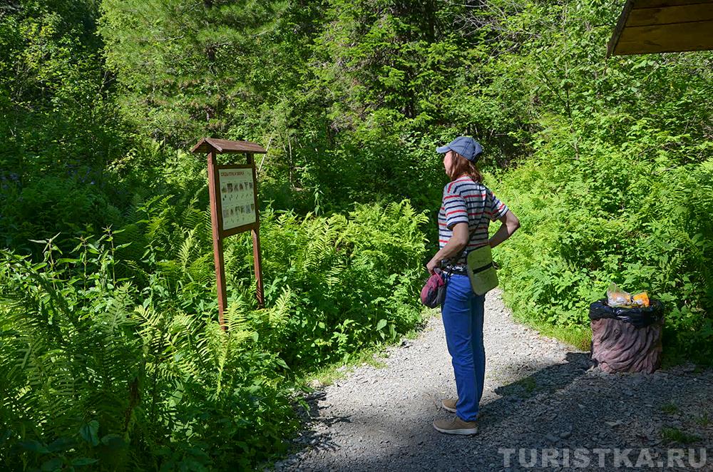 Эко-тропа на Третьей речке