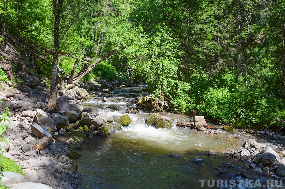 Эко-тропа на Третьей речке