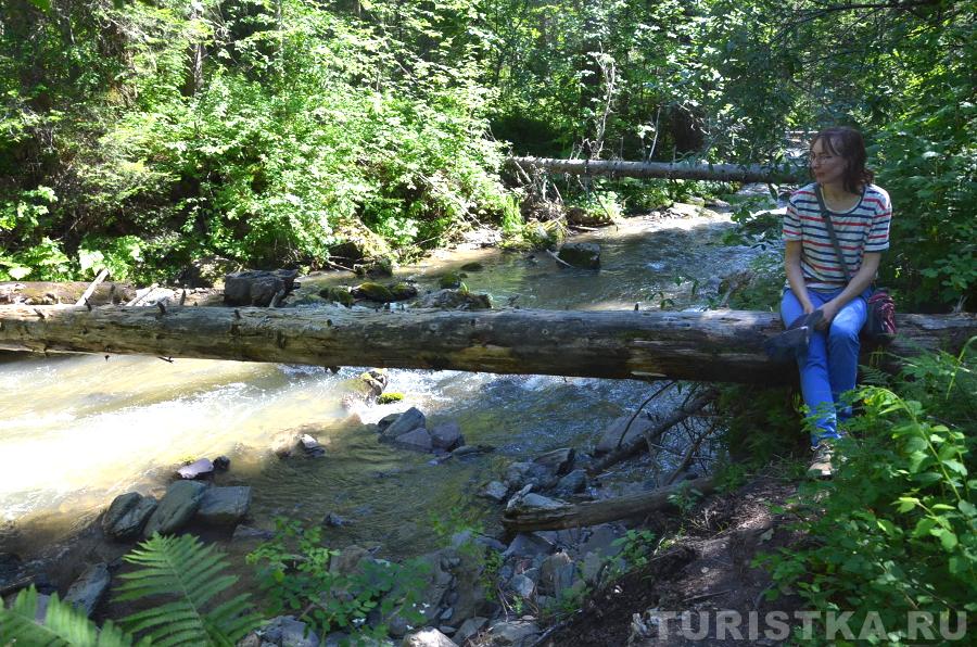 Эко-тропа на Третьей речке