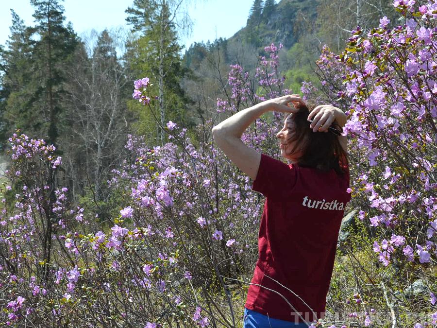 Цветение маральника