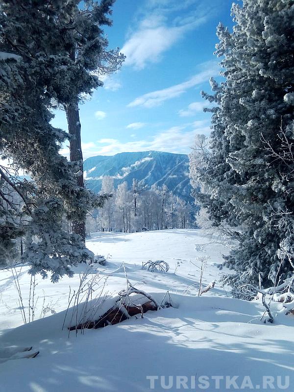 На вершине горы Кокуя