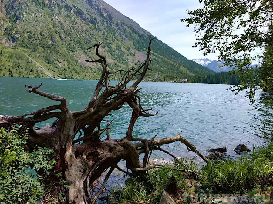 Нижнее Мультинское озеро