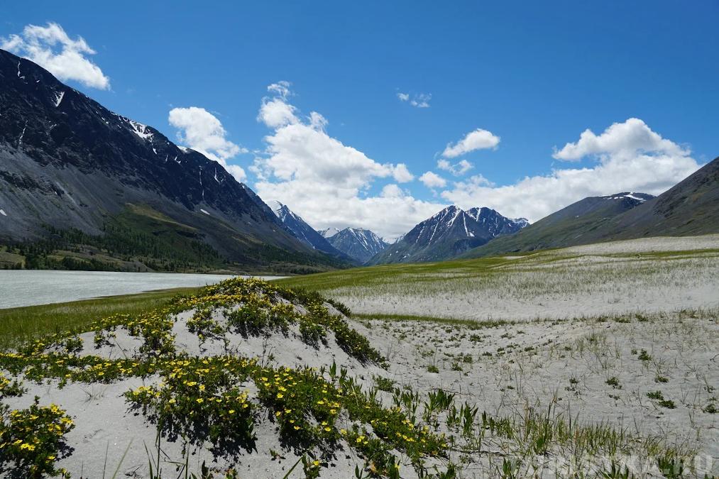 Песчаные дюны на озере Акколь