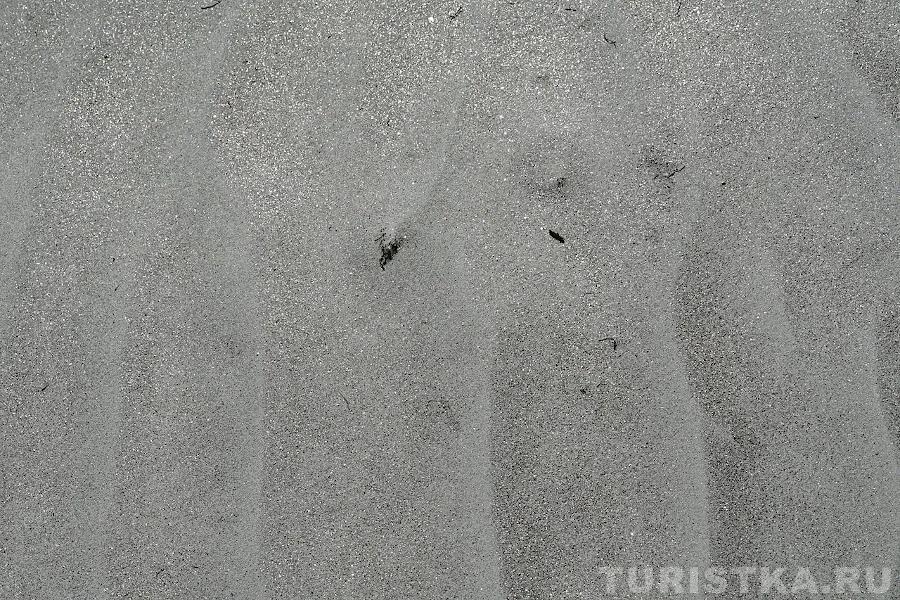 Песок на берегу озера Акколь