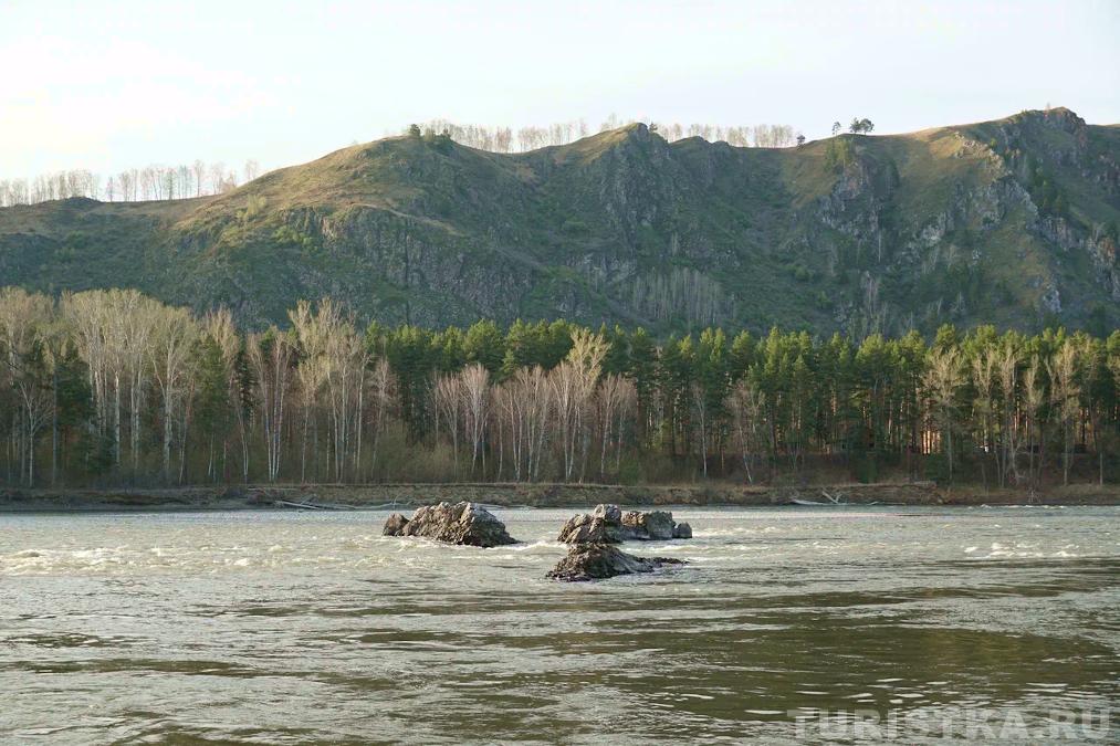 Катунь в Черемшанке