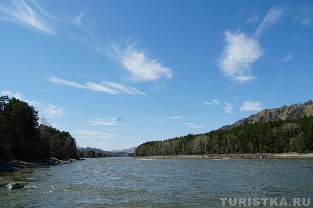 Катунь в Черемшанке