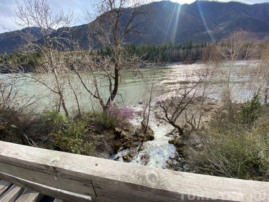 После водопада Бельтиртуюк река Бельтертуюк впадает в Катунь