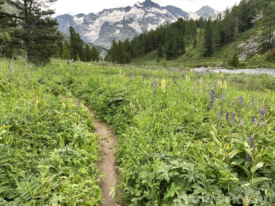 Тропа к озеру Поперечному