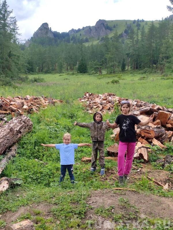 «Мама, мы дров наломали...»