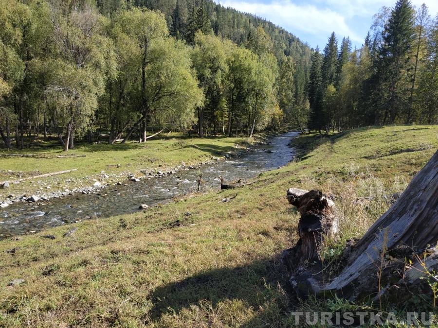 Речка на территории маральника по пути к озеру Потайное