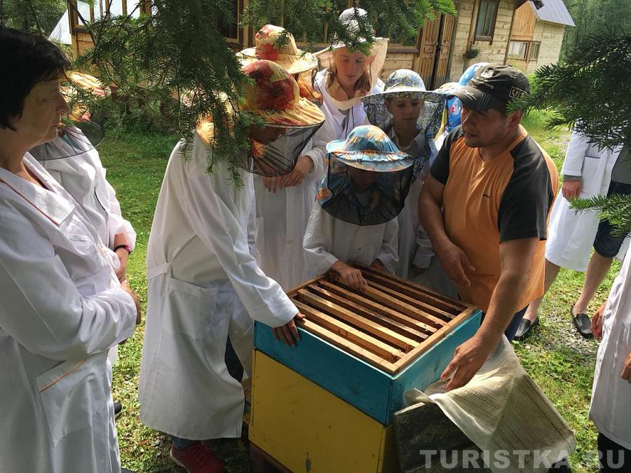 Экскурсия на пасеку