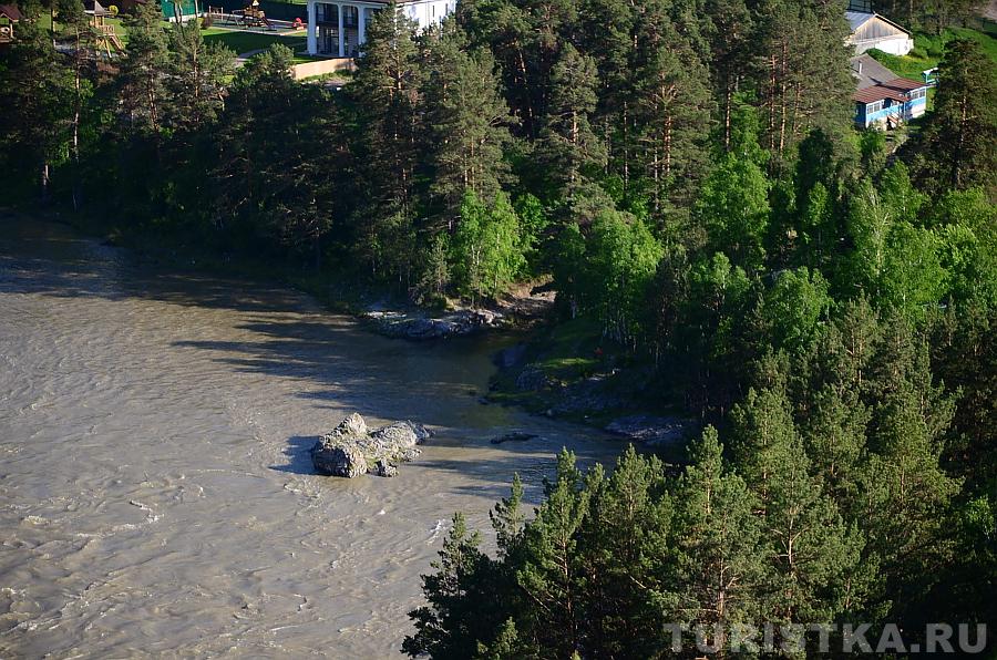 Аскатка впадает в Катунь, вид с горы Менжелик