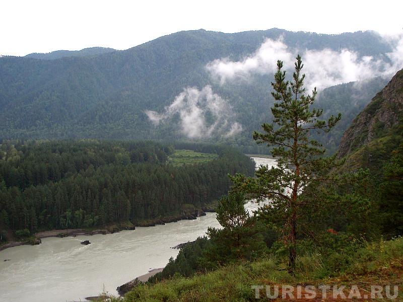 Катунь в Чемальской долине