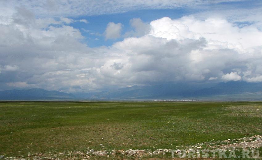 Летние краски Чуйской степи