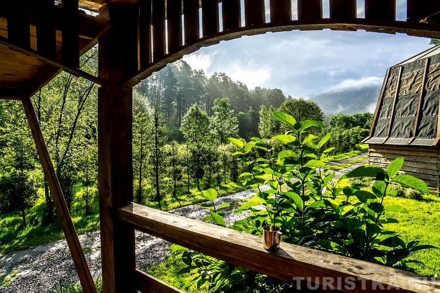 Вид из гостевых домиков в Ботаническом саду