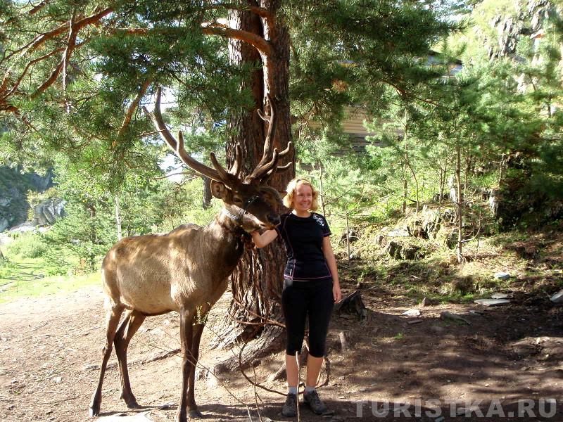 Фотография с маралом