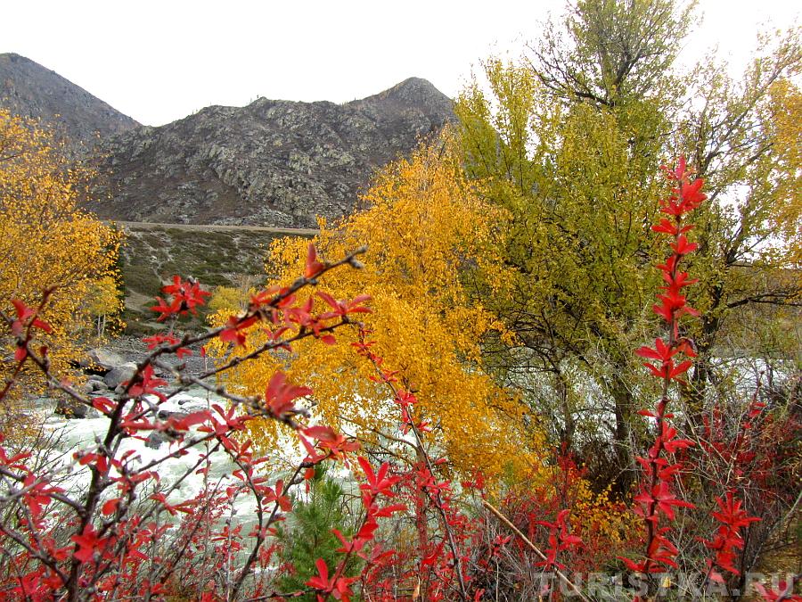 Около Ильгуменского порога