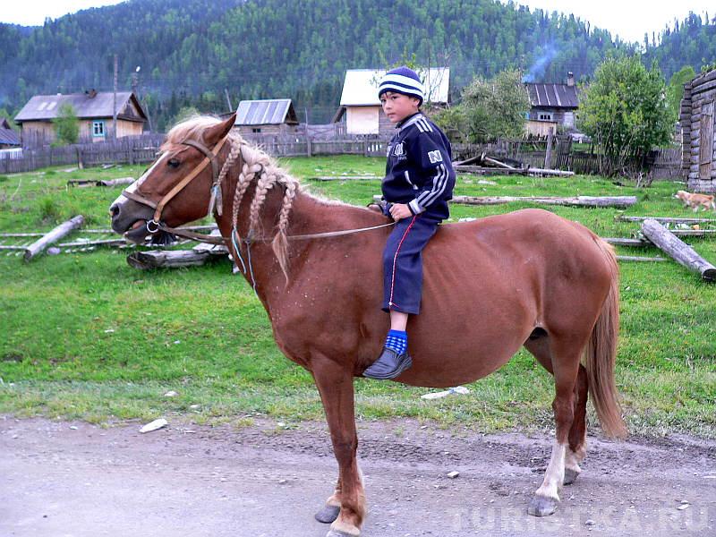 Юный наездник