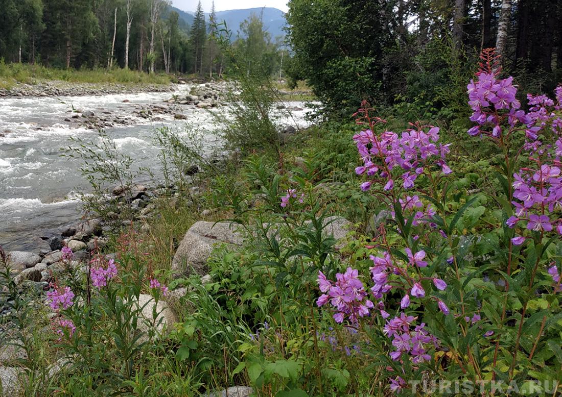 Иван-Чай на реке Мульта