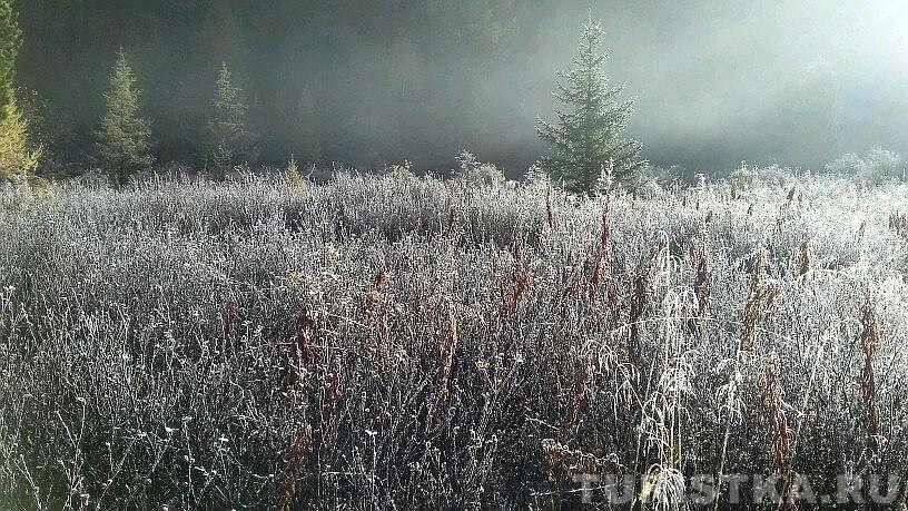 Иней : Усть-Коксинский район