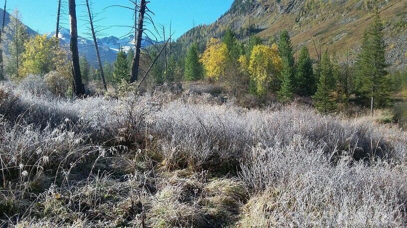 Яркое утро : Усть-Коксинчкий район