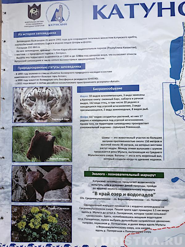 Информация о Катунском заповеднике
