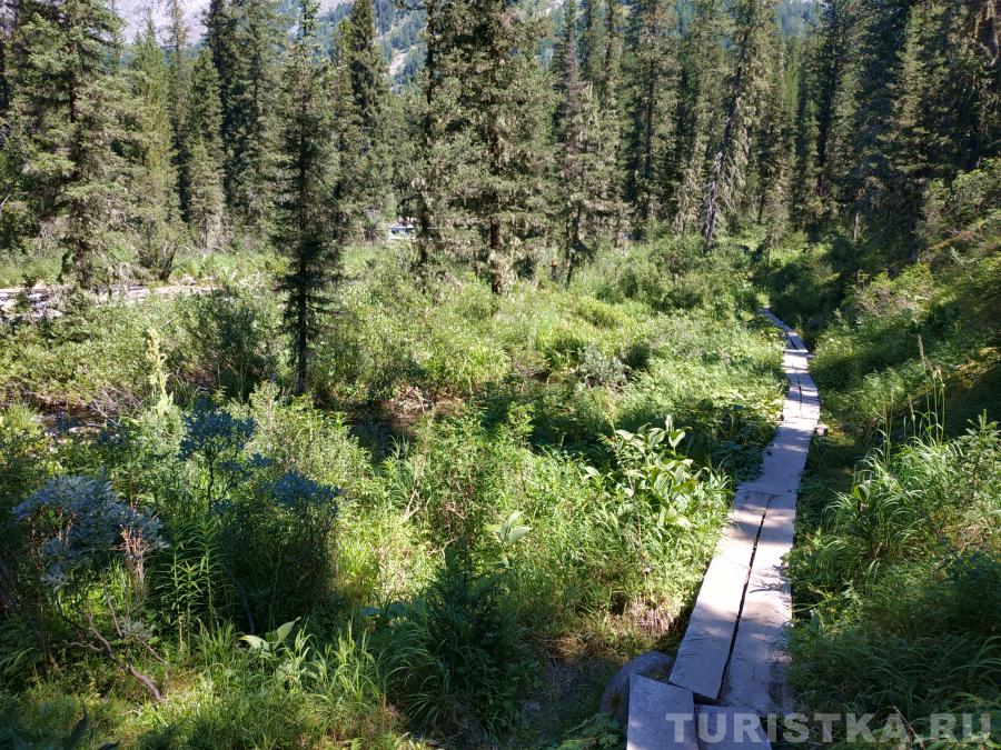 Благоустройство тропы к Верхнему Мультинскому озеру